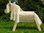 75 cm Holzpferd Pony unlasiert mit Sisal Mähne und Schweif