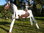 110cm Tinker weiß/braun Holzpferd mit Maul
